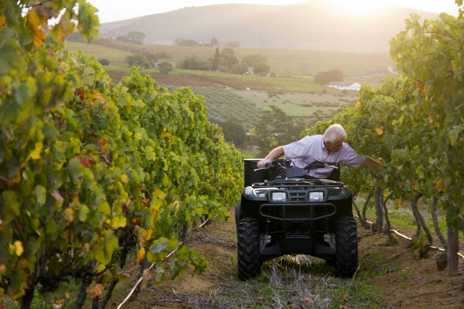 Kyburg Boutique Wines