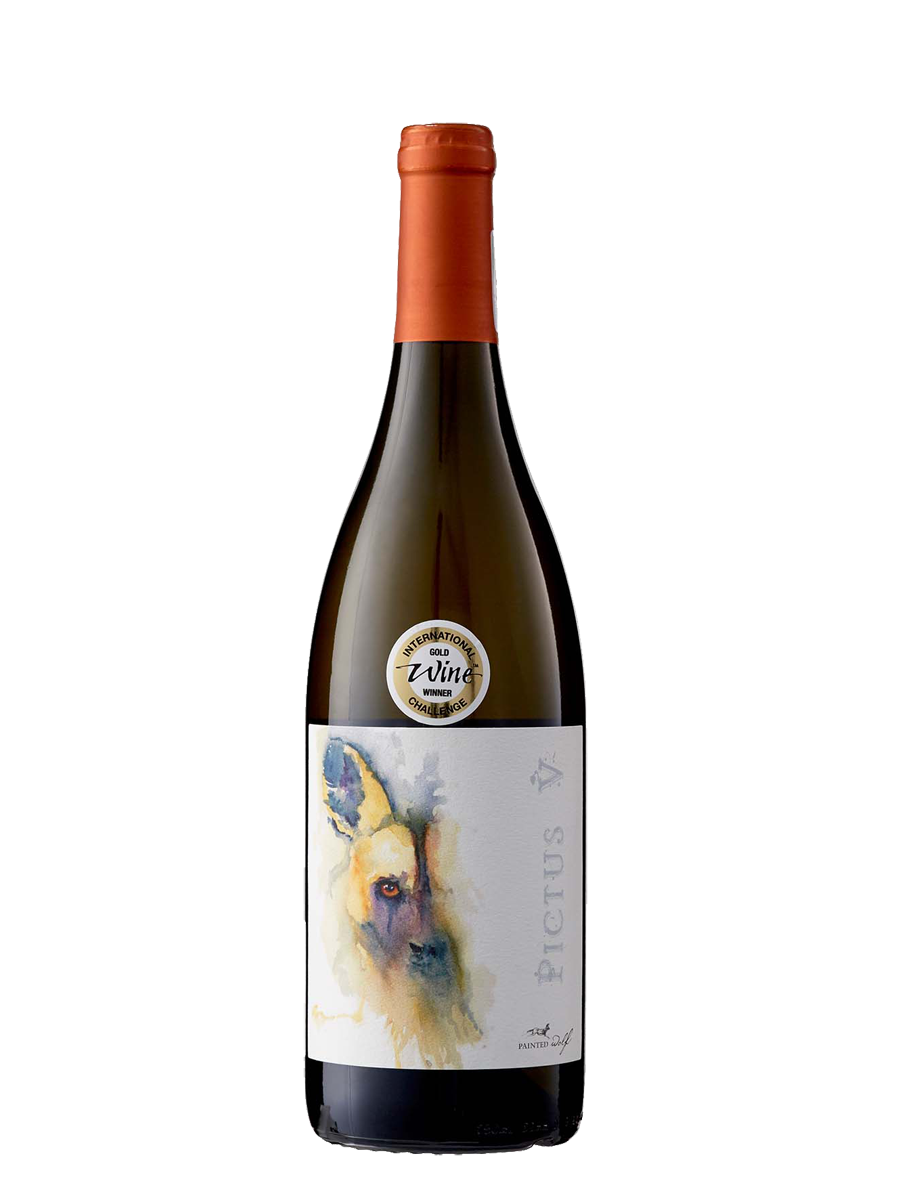 Painted Wolf Pictus VI 2017